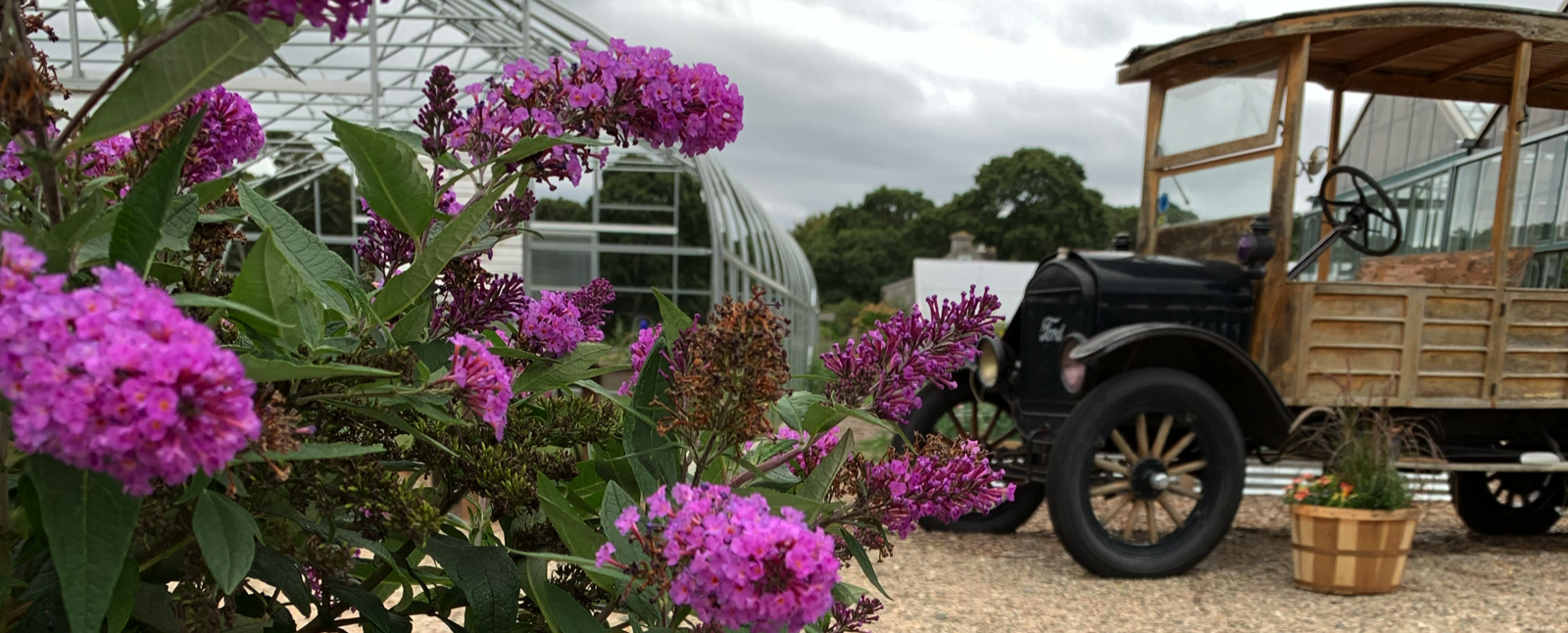 greenhouse-truck