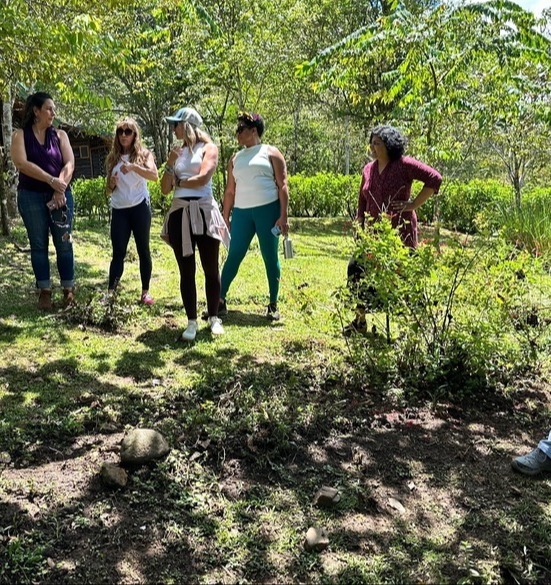 3EC6C442-CA4F-4C1A-A50A-979E6DB3EBC2-1