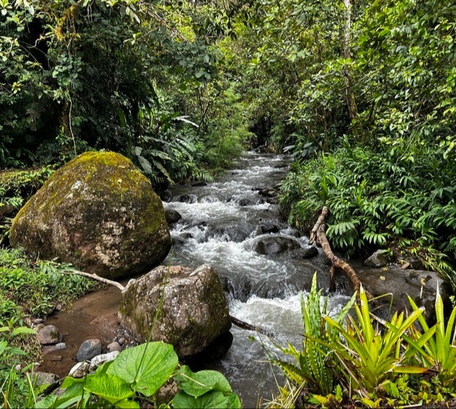 Verdesana River Rapids 2025